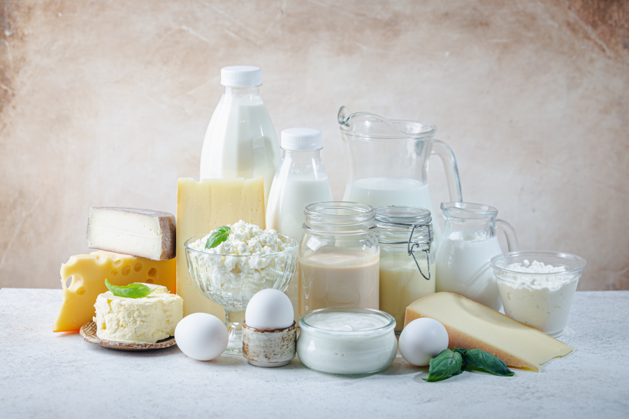 Verschiedene Molkereiprodukte wie Milch, Käse, Joghurt, Sahne, Butter und Eier sind ansprechend auf einem hellen Untergrund arrangiert.
