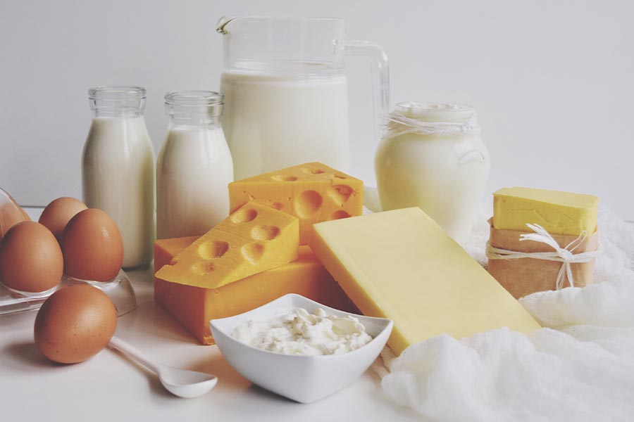 Verschiedene Molkereiprodukte auf weißem Hintergrund: Frische Milch in Flaschen und einem Krug, Naturjoghurt im Glas, verschiedene Käsesorten, ein Stück Butter, Quark in einer Schale sowie braune Eier – alles ansprechend arrangiert.