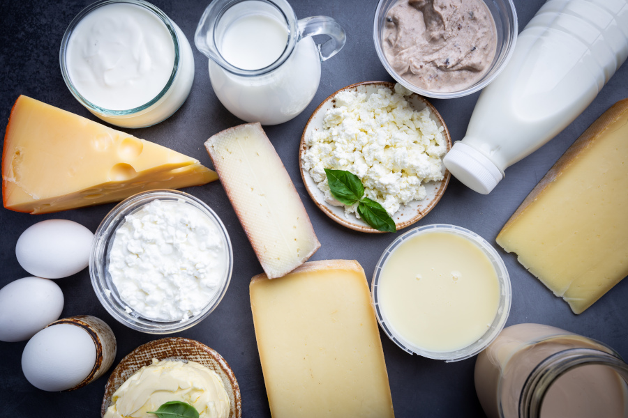 Vielfältige Molkereiprodukte auf dunklem Untergrund: verschiedene Käsesorten, Frischkäse, Hüttenkäse, Joghurt, Quark, Sahne, Milch in Flaschen und Gläsern sowie frische Eier – appetitlich arrangiert mit frischem Basilikum.